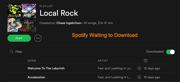 Spotify Says Waiting To Download