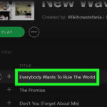 How To Download Music From Spotify 12 Steps with Pictures 